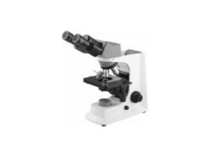 Microscope - Binocular Upright